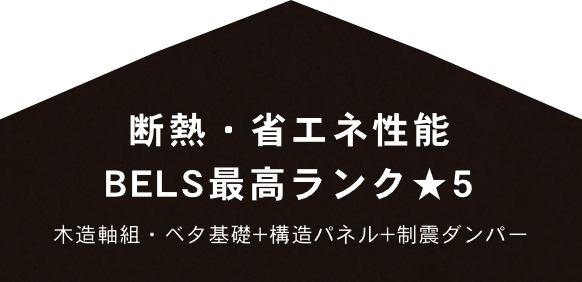 断熱・省エネ性能BEST最高ランク★5 木造軸組・ベタ基礎＋構造パネル＋制震ダンパー